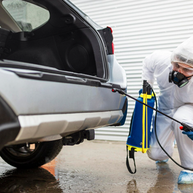 Exterminator Florida delivering reliable pest control solutions for all infestations.