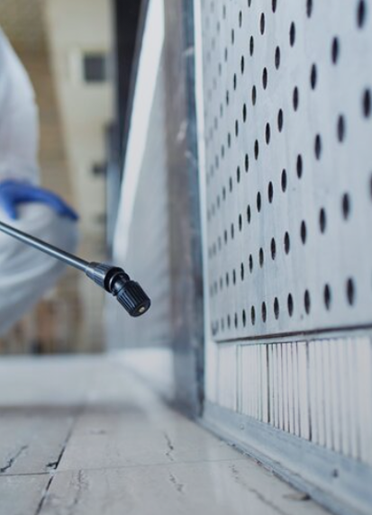 Pest control Florida delivering comprehensive pest management for homes.